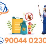 2_20250731_184636_0001