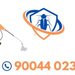 3_20250731_184636_0002